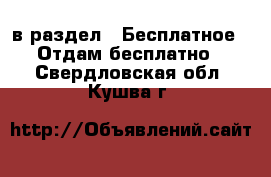  в раздел : Бесплатное » Отдам бесплатно . Свердловская обл.,Кушва г.